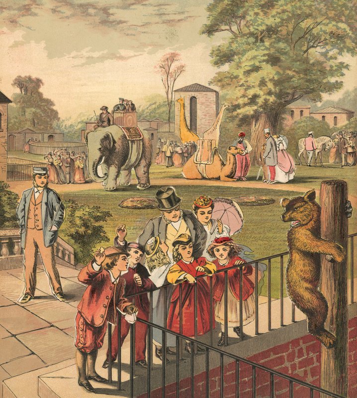 Zum Zoo gehen von English School