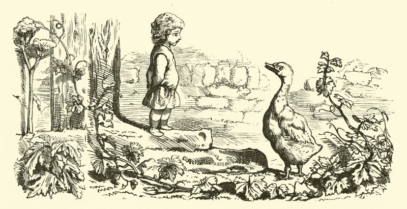Gänschen, Gänschen Gänserich von English School