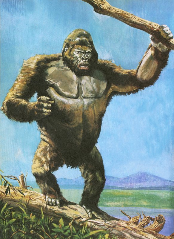 Gorilla von English School