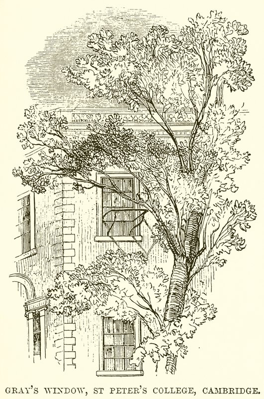 Grays Fenster, St. Peters College, Cambridge von English School