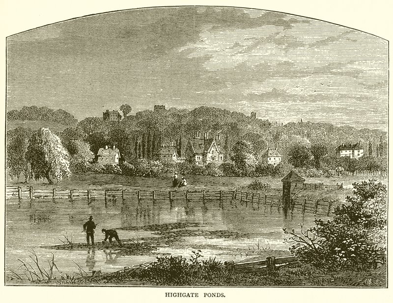 Highgate-Teiche von English School