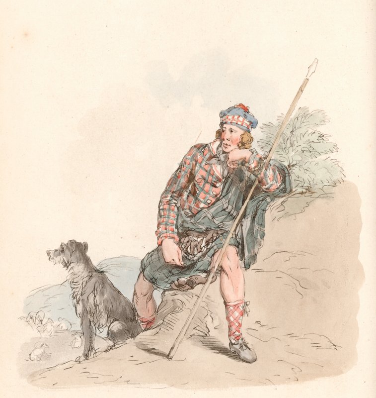 Hochlandschäfer von English School