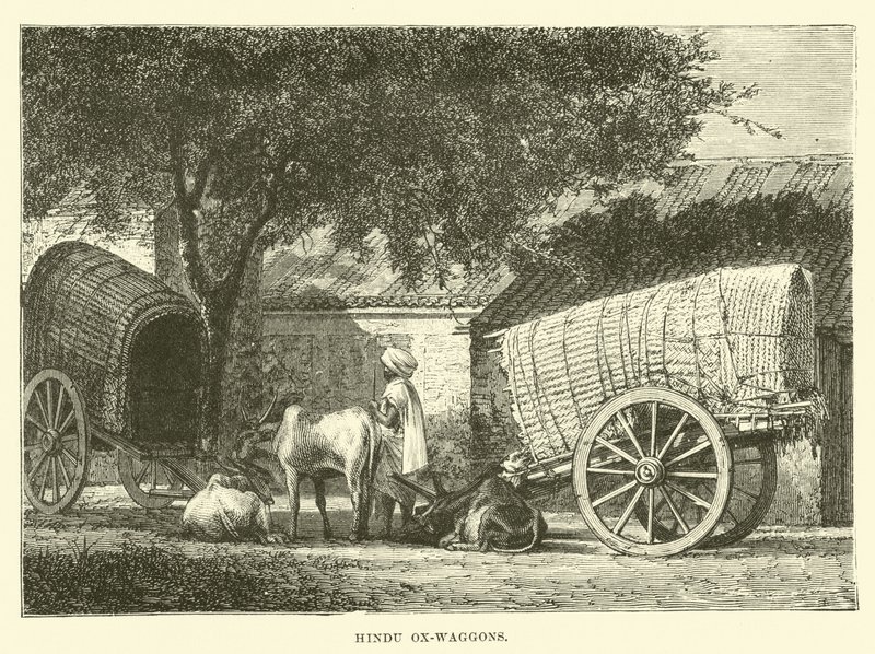 Hindu-Ochsenkarren von English School