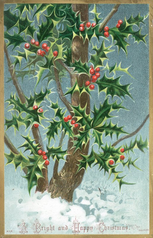 Stechpalmenbaum, Weihnachtskarte von English School