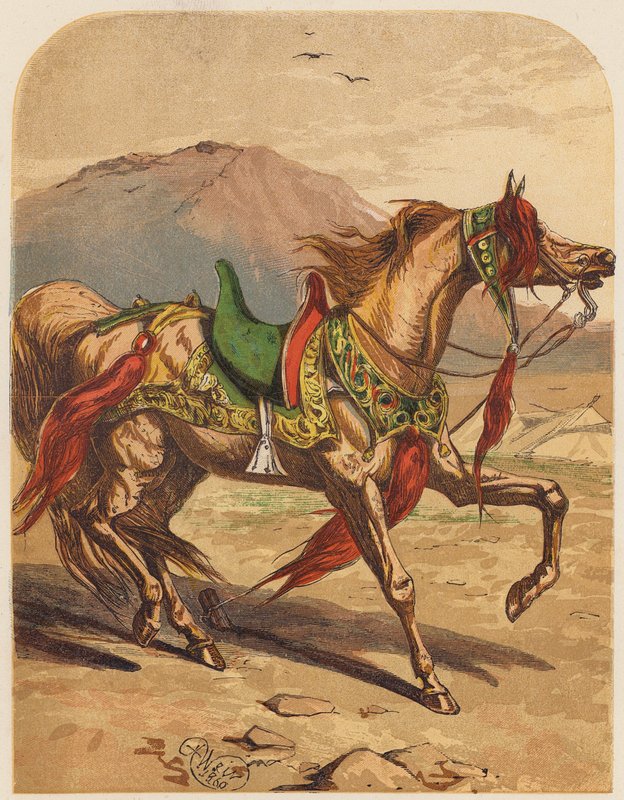 Pferd von English School
