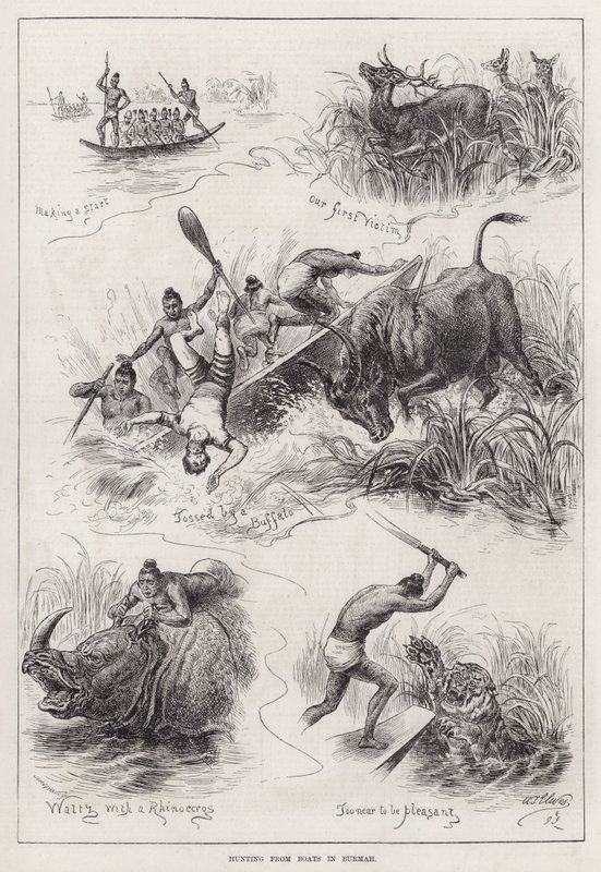 Jagd von Booten in Burma (Gravur) von English School