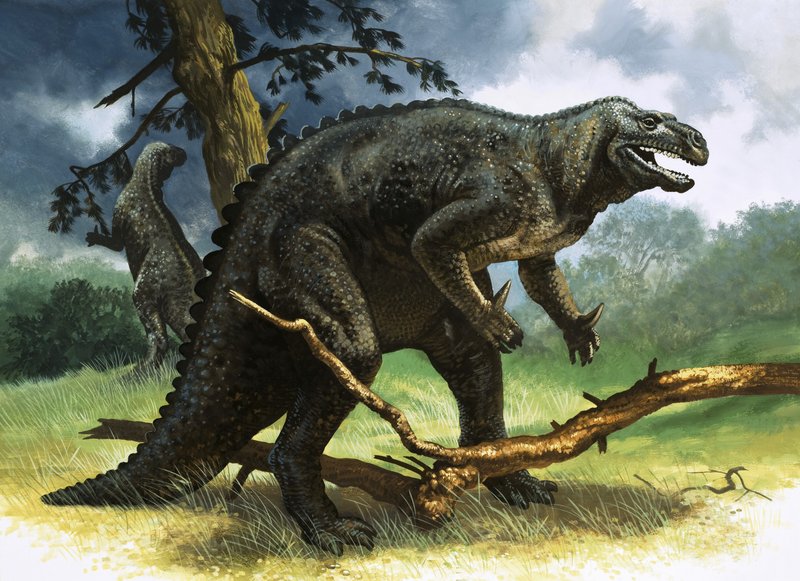 Iguanodon von English School