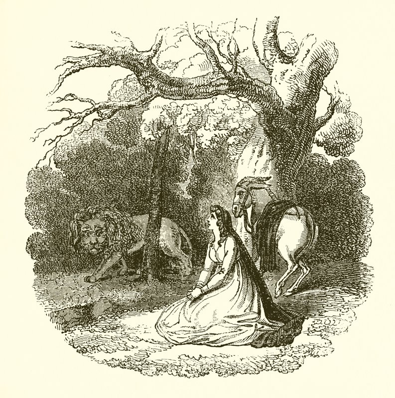 Illustration der Faery Queene von English School
