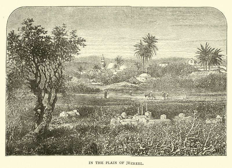 In der Ebene von Jesreel von English School