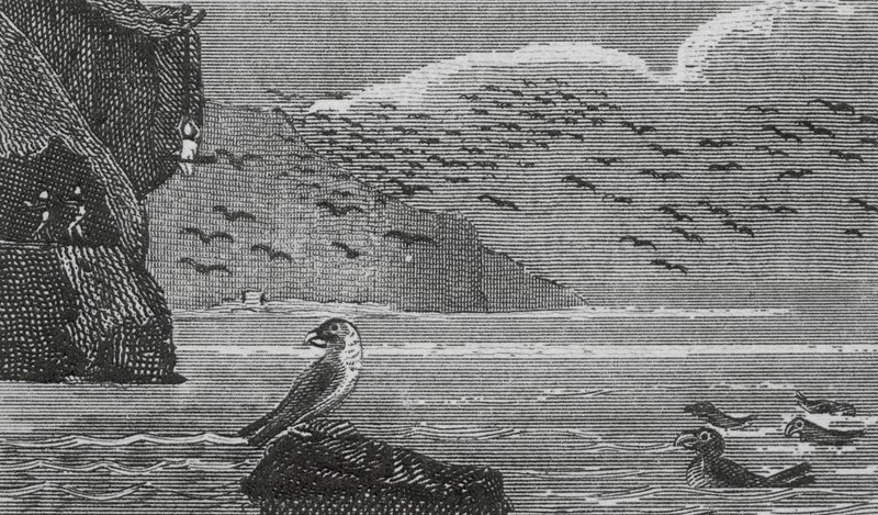Isle of Man von English School