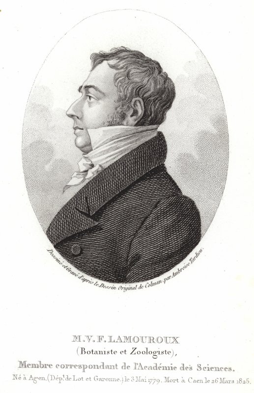 Jean Vincent Félix Lamouroux von English School