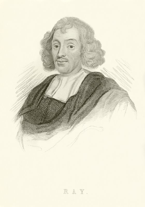 John Ray von English School