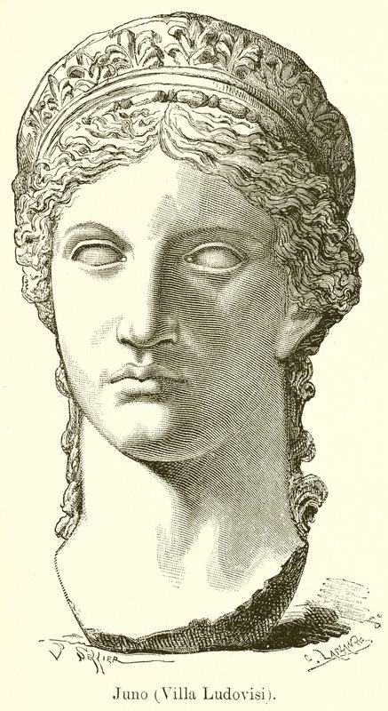Juno von English School