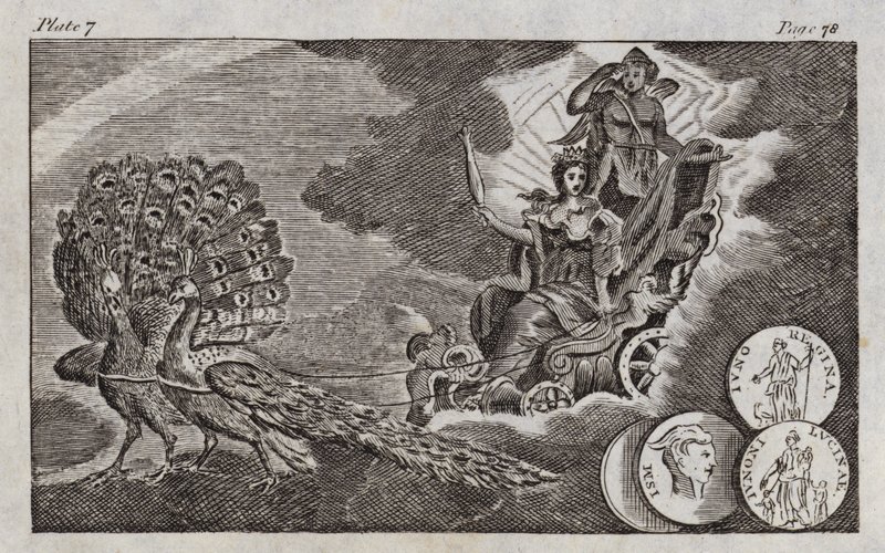 Juno (Gravur) von English School