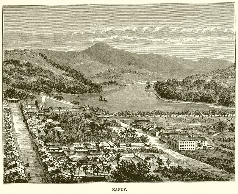 Kandy von English School