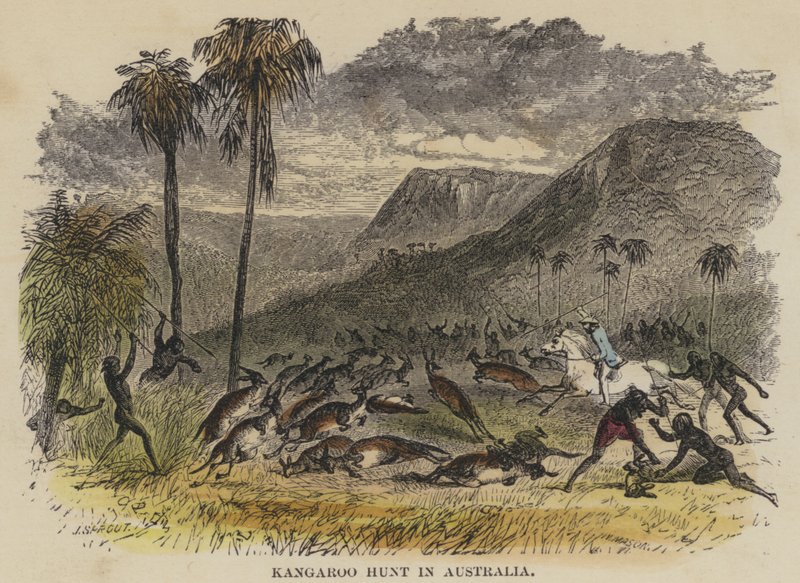 Kängurujagd in Australien von English School