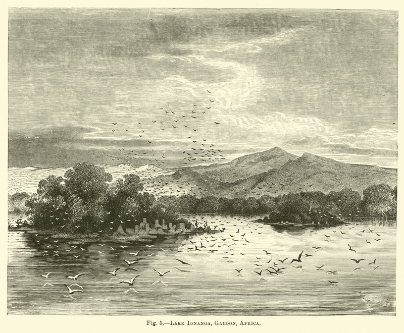 Ionangasee, Gabun, Afrika von English School