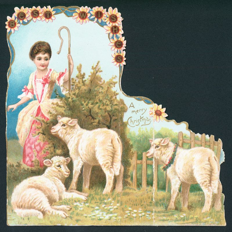 Little Bo Peep von English School