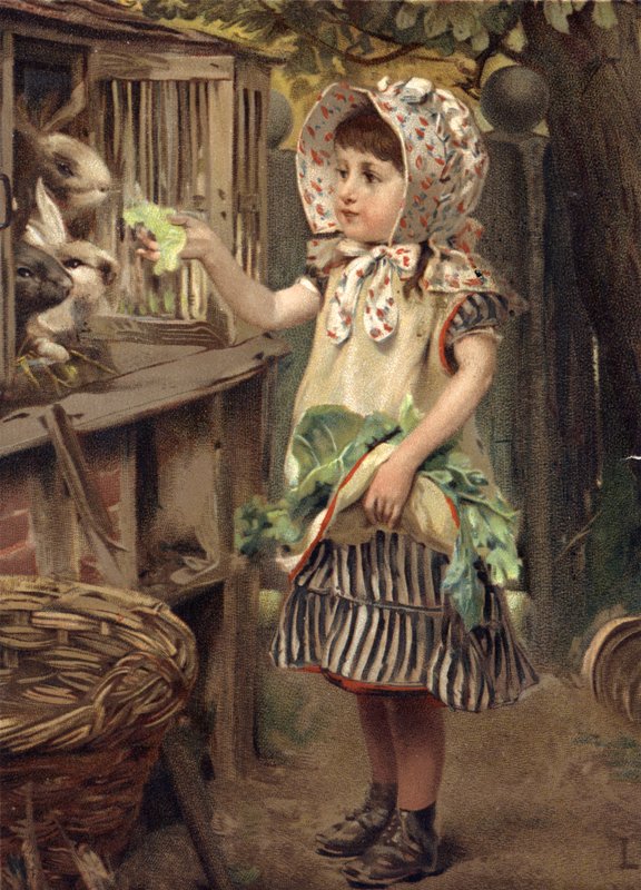Kleines Mädchen füttert Kaninchen von English School