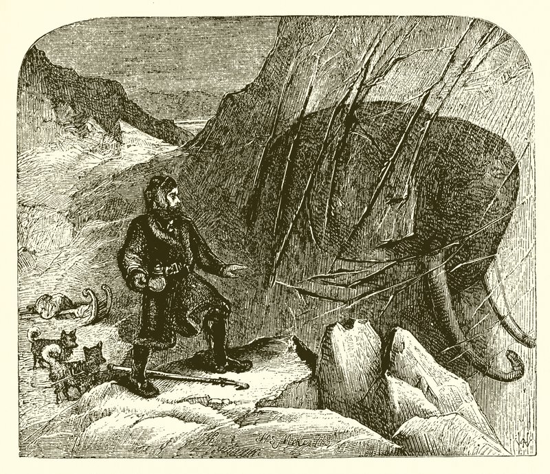 Mammut im Eis von English School