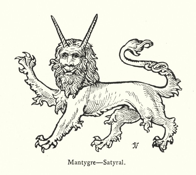 Mantygre, Satyral (Gravur) von English School
