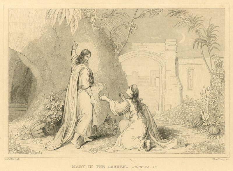 Maria im Garten, Johannes XX von English School