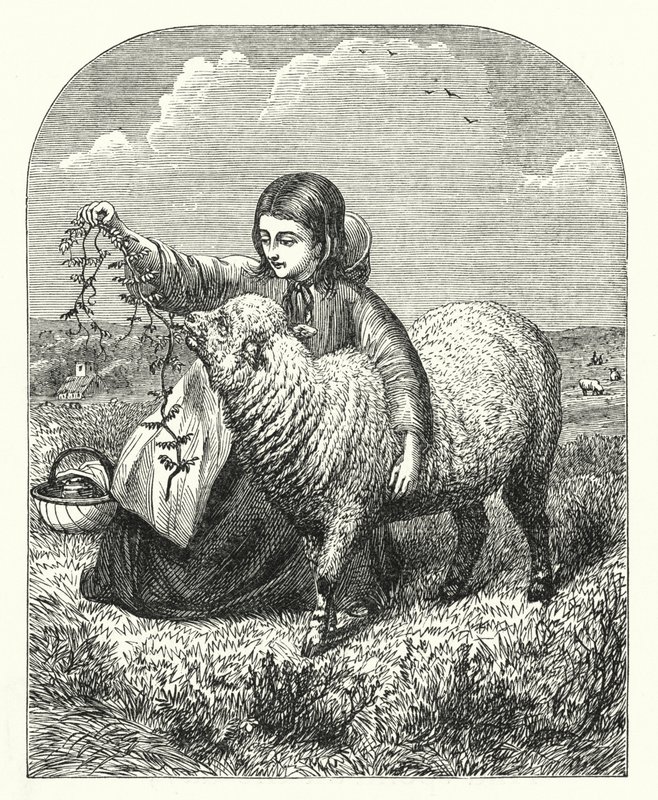Marys Lamm (Gravur) von English School