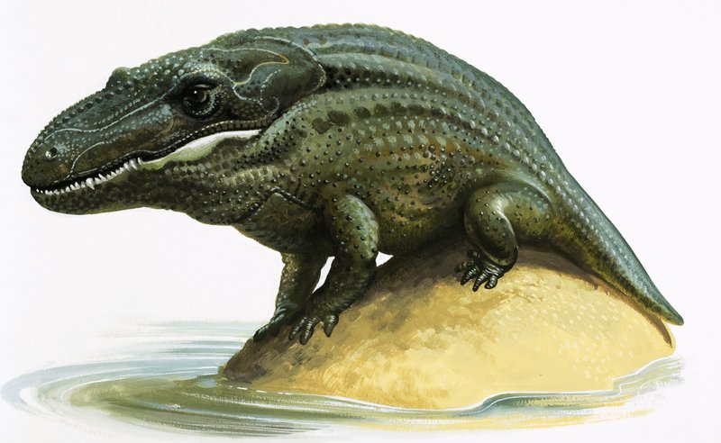Mastodonsaurus von English School