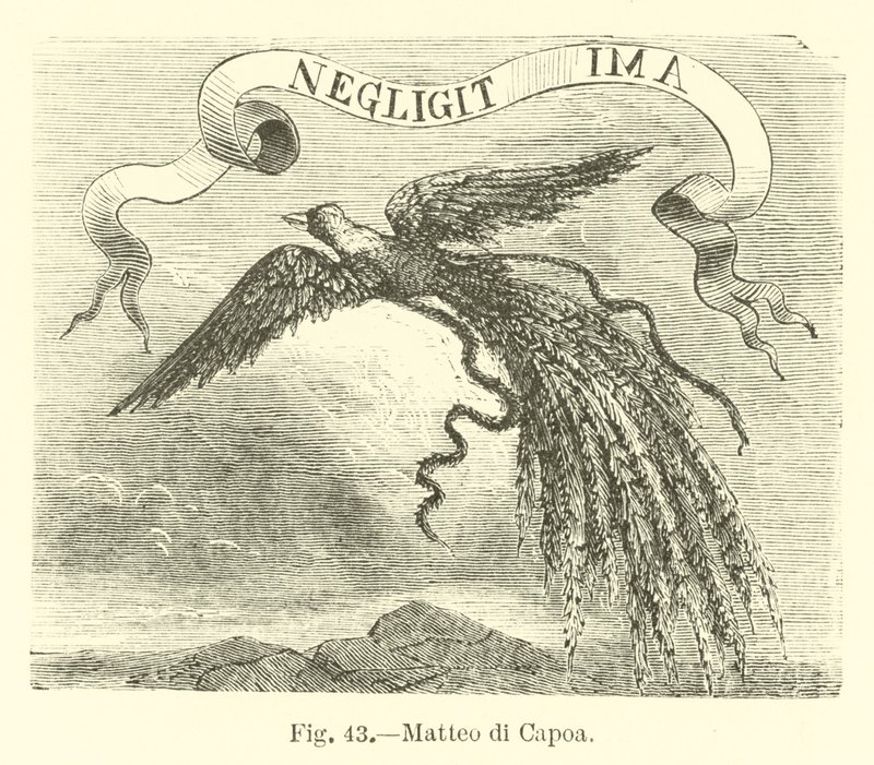 Matteo di Capoa von English School