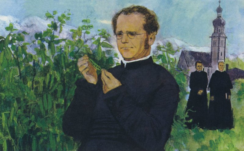 Mendel studiert im Kloster von English School