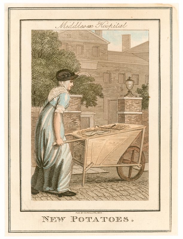 Middlesex Hospital. Neue Kartoffeln von English School