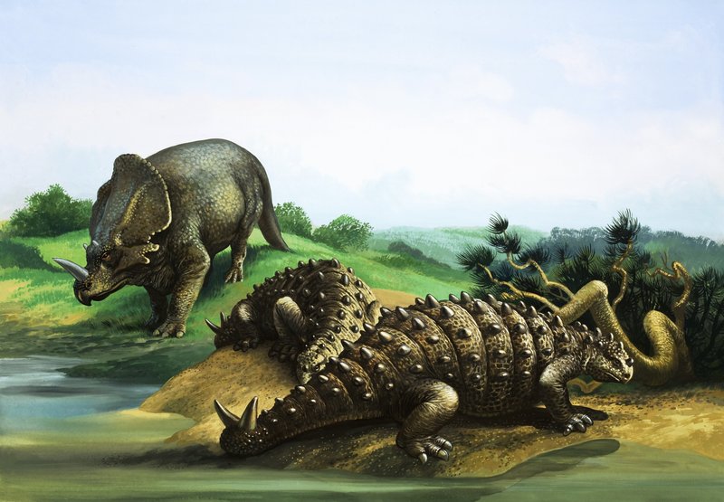 Monoclonius und Scolosaurus von English School