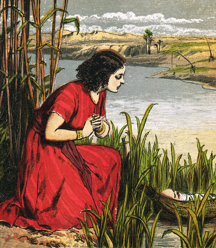 Moses wird in die Binsen gelegt von English School