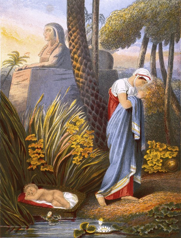 Moses unter den Binsen von English School
