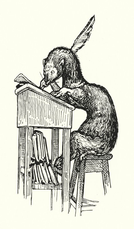 Herr Frettchen bei der Arbeit von English School