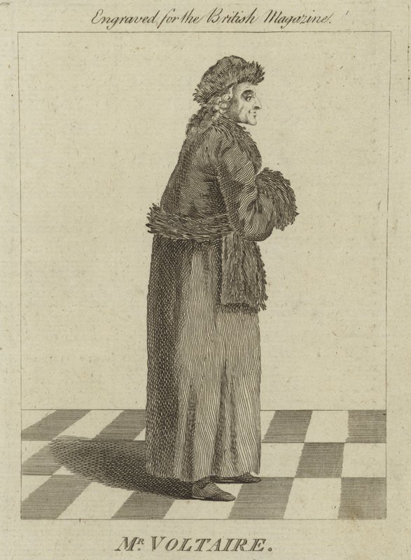 Herr Voltaire von English School