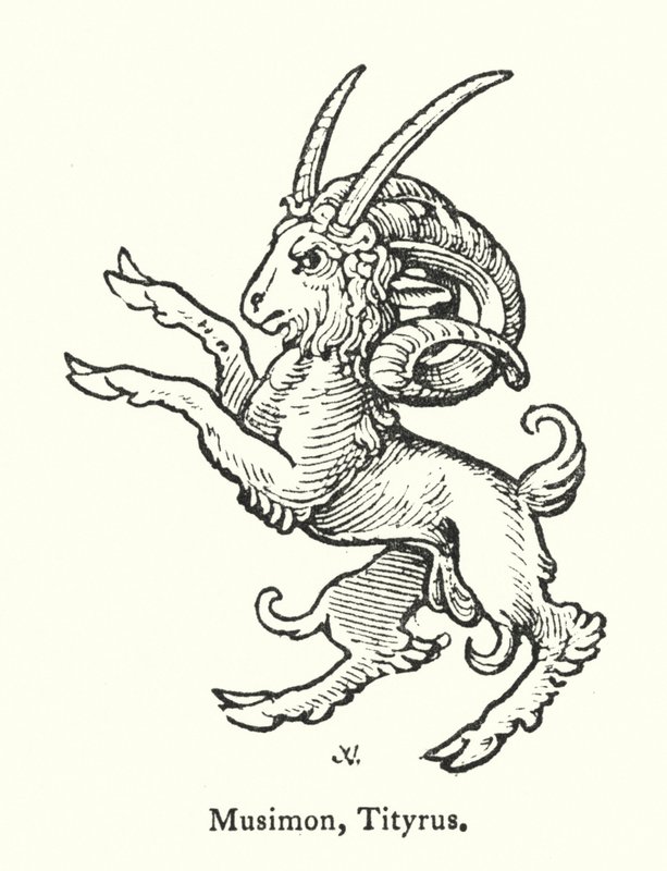 Musimon, Tityrus (Gravur) von English School