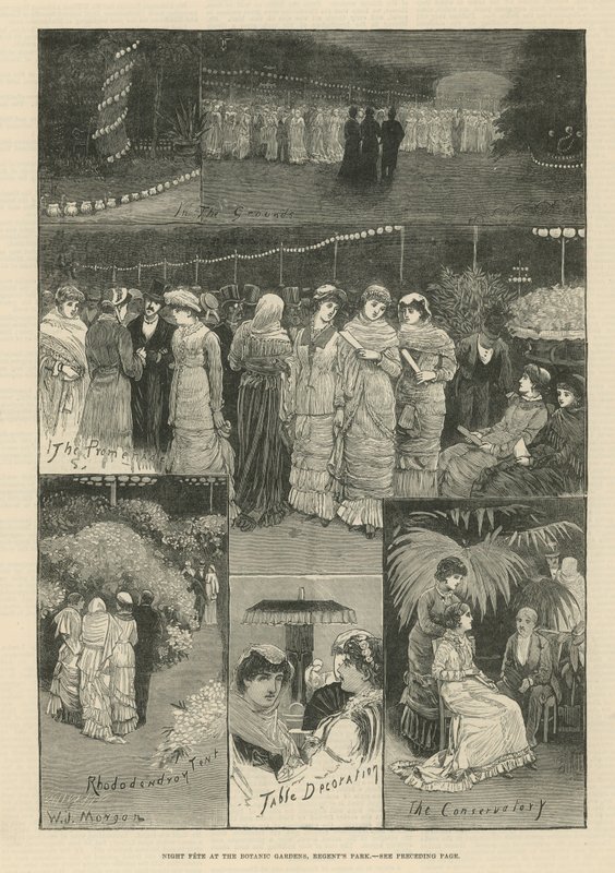 Nachtfest in den Botanischen Gärten von English School