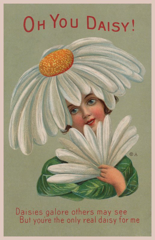 Oh du Gänseblümchen! von English School