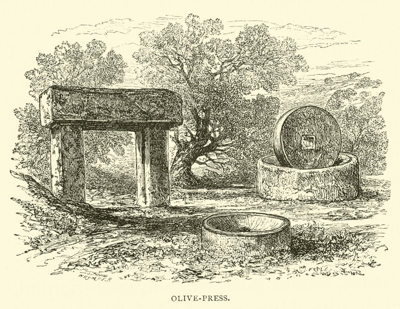 Ölpresse von English School