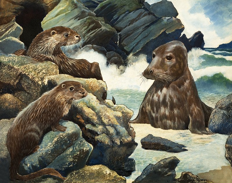 Otter und Walross von English School