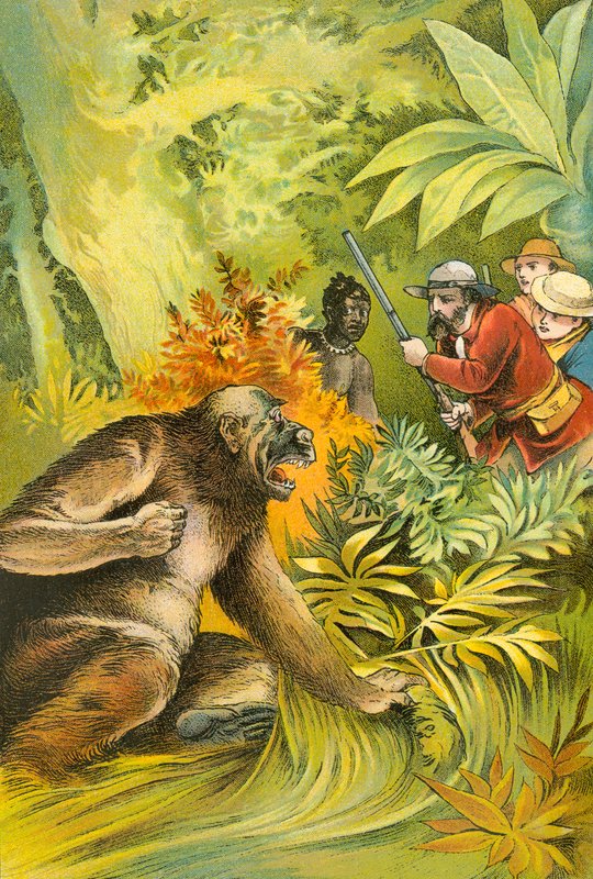 Unser erster Gorilla von English School