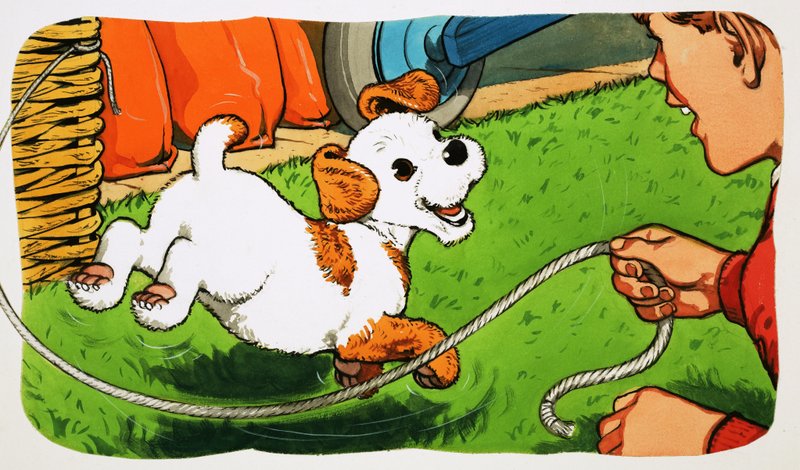 Paddy Paws von English School