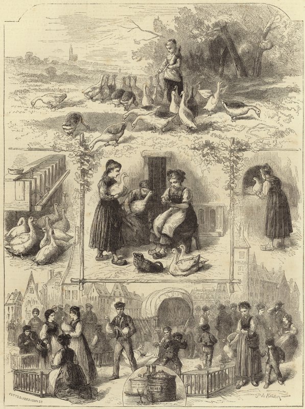 Gänseleberpastete in Straßburg von English School