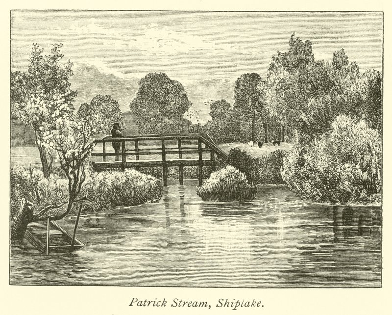 Patrick Bach, Shiplake von English School