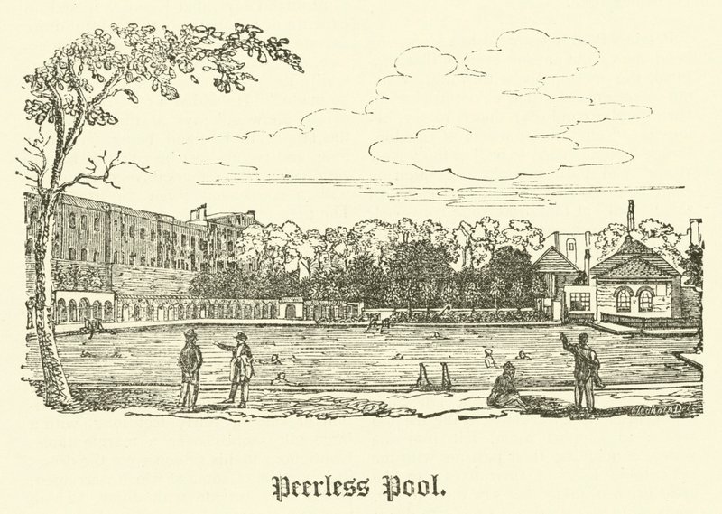 Peerless Pool (Gravur) von English School