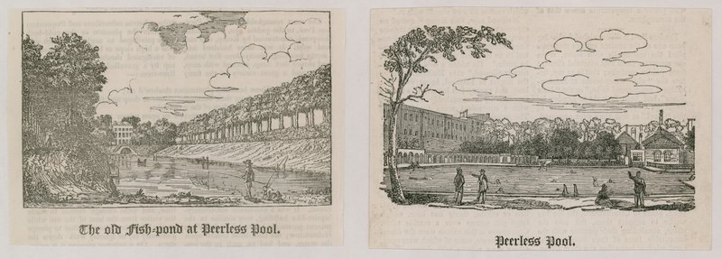 Peerless Pool von English School