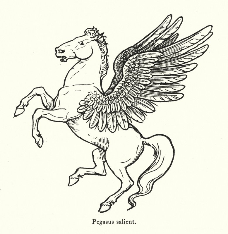 Pegasus steigend (Gravur) von English School