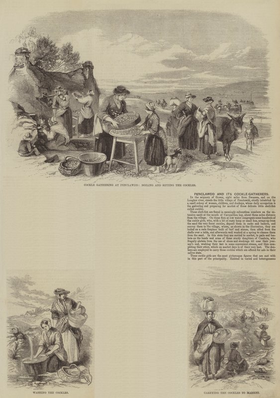 Penclawdd und seine Muschelsammler (Stich) von English School