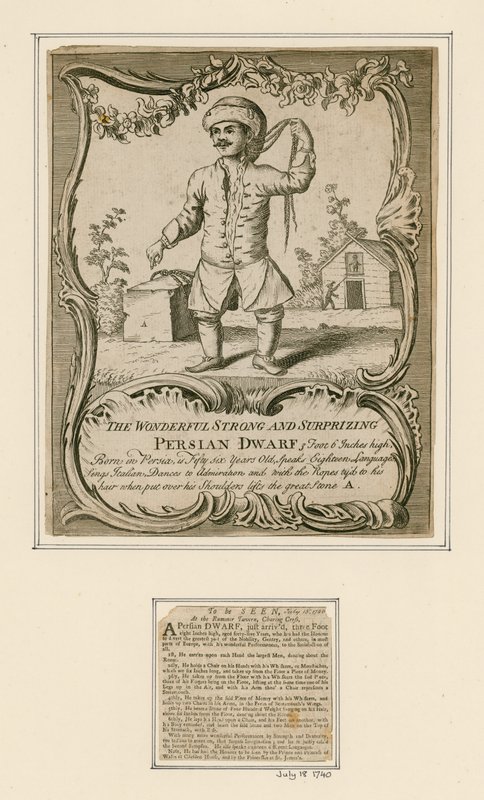 Persischer Zwerg von English School